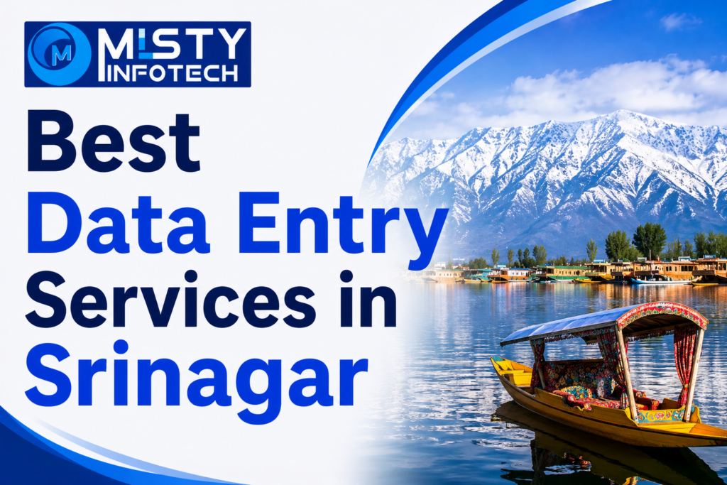 Best Data Entry Services in Srinagar