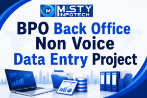 BPO Back Office Non Voice Data Entry Project