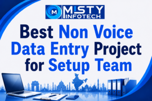 Best Non Voice Data Entry Project for Setup Team