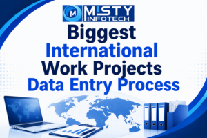 Biggest International Work Projects Data Entry Process