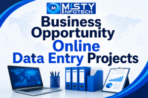 Business Opportunity Online Data Entry Projects