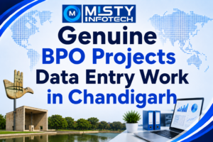 Genuine BPO Projects Data Entry Work in Chandigarh